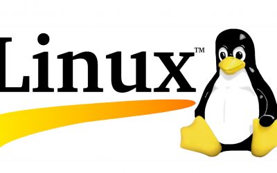 How does Linux kernel decide which process to kill when there is no memory left on the system?